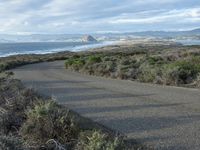 a road going to the beach towards a body of water and mountains, surrounded by scrub