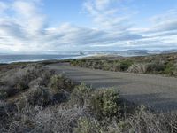 a road going to the beach towards a body of water and mountains, surrounded by scrub