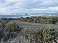 a road going to the beach towards a body of water and mountains, surrounded by scrub