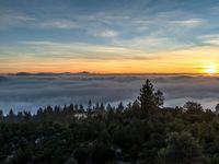 a hillside at sunrise with trees and the sun in the distance above the cloud filled valley