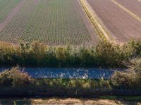 a truck driving past the centerline of a farm and a field full of crops