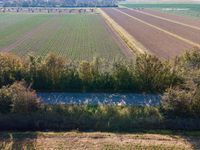 a truck driving past the centerline of a farm and a field full of crops