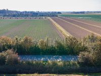 a truck driving past the centerline of a farm and a field full of crops