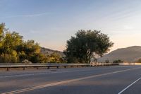 Dawn Landscape: Mountains and Trees