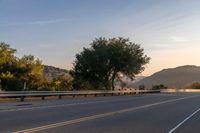 Dawn Landscape: Mountains and Trees