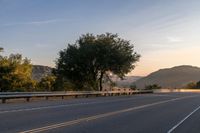 Dawn Landscape: Mountains and Trees