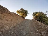 Dawn Landscape at Mulholland, Los Angeles 001