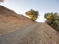 Dawn Landscape in Mulholland, Los Angeles 002