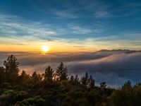 clouds and trees surround an area with sunsets and mountains in the distance that is covered by low lying clouds