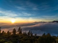 clouds and trees surround an area with sunsets and mountains in the distance that is covered by low lying clouds