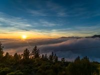 clouds and trees surround an area with sunsets and mountains in the distance that is covered by low lying clouds