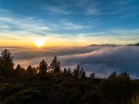 clouds and trees surround an area with sunsets and mountains in the distance that is covered by low lying clouds