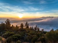 clouds and trees surround an area with sunsets and mountains in the distance that is covered by low lying clouds