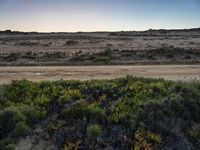 Dawn Landscape in Portugal's Coastal Area