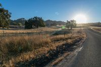 Dawn Landscape: Rural Farm and Agriculture