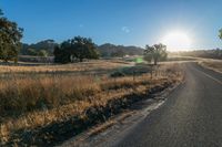 Dawn Landscape: Rural Farm and Agriculture