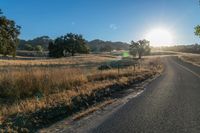 Dawn Landscape: Rural Farm and Agriculture