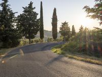 Dawn Landscape in Rural Italy