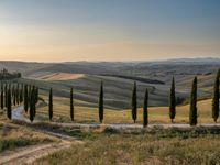 Dawn Landscape in Rural Tuscany, Italy