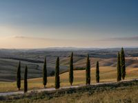 Dawn Landscape in Rural Tuscany, Italy