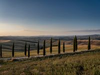 Dawn Landscape in Rural Tuscany, Italy