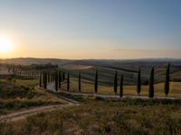 Dawn Landscape in Rural Tuscany, Italy