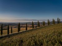 Dawn Landscape in Rural Tuscany, Italy