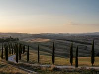 Dawn Landscape in Rural Tuscany, Italy