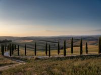 Dawn Landscape in Rural Tuscany, Italy