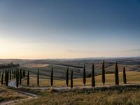 Dawn Landscape in Rural Tuscany, Italy