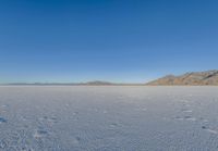 Dawn Landscape: Salt Lake with Clear Sky