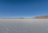 Dawn Landscape: Salt Lake with Clear Sky