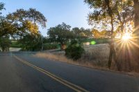 sun rays shining through trees on the side of a street in california, usa with green leaves on the roadside