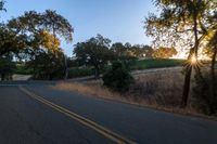 sun rays shining through trees on the side of a street in california, usa with green leaves on the roadside