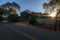 sun rays shining through trees on the side of a street in california, usa with green leaves on the roadside