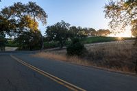 sun rays shining through trees on the side of a street in california, usa with green leaves on the roadside