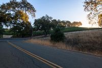 sun rays shining through trees on the side of a street in california, usa with green leaves on the roadside