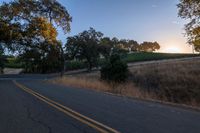 sun rays shining through trees on the side of a street in california, usa with green leaves on the roadside