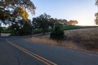 sun rays shining through trees on the side of a street in california, usa with green leaves on the roadside