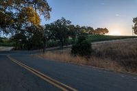 sun rays shining through trees on the side of a street in california, usa with green leaves on the roadside