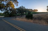 sun rays shining through trees on the side of a street in california, usa with green leaves on the roadside