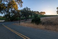 sun rays shining through trees on the side of a street in california, usa with green leaves on the roadside