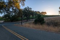 sun rays shining through trees on the side of a street in california, usa with green leaves on the roadside