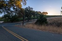 sun rays shining through trees on the side of a street in california, usa with green leaves on the roadside