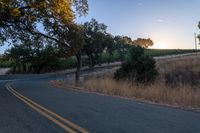 sun rays shining through trees on the side of a street in california, usa with green leaves on the roadside