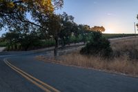 sun rays shining through trees on the side of a street in california, usa with green leaves on the roadside