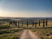 winding road leading through fields with trees in the distance and water trough at sunset in tuscany