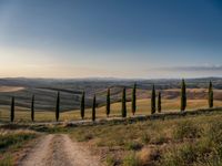 winding road leading through fields with trees in the distance and water trough at sunset in tuscany