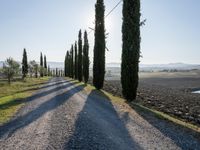 Dawn Landscape in Tuscany, Italy: Clear Sky and Stunning Views