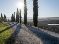 Dawn Landscape in Tuscany, Italy: Clear Sky and Stunning Views